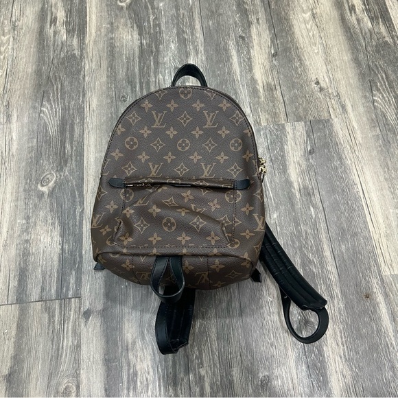 LOUIS VUITTON - Monogram Palm Springs PM - Picture 1 of 14